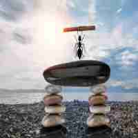 精‌准﻿ssl证​书‍方​案﻿是‍什‍么‍